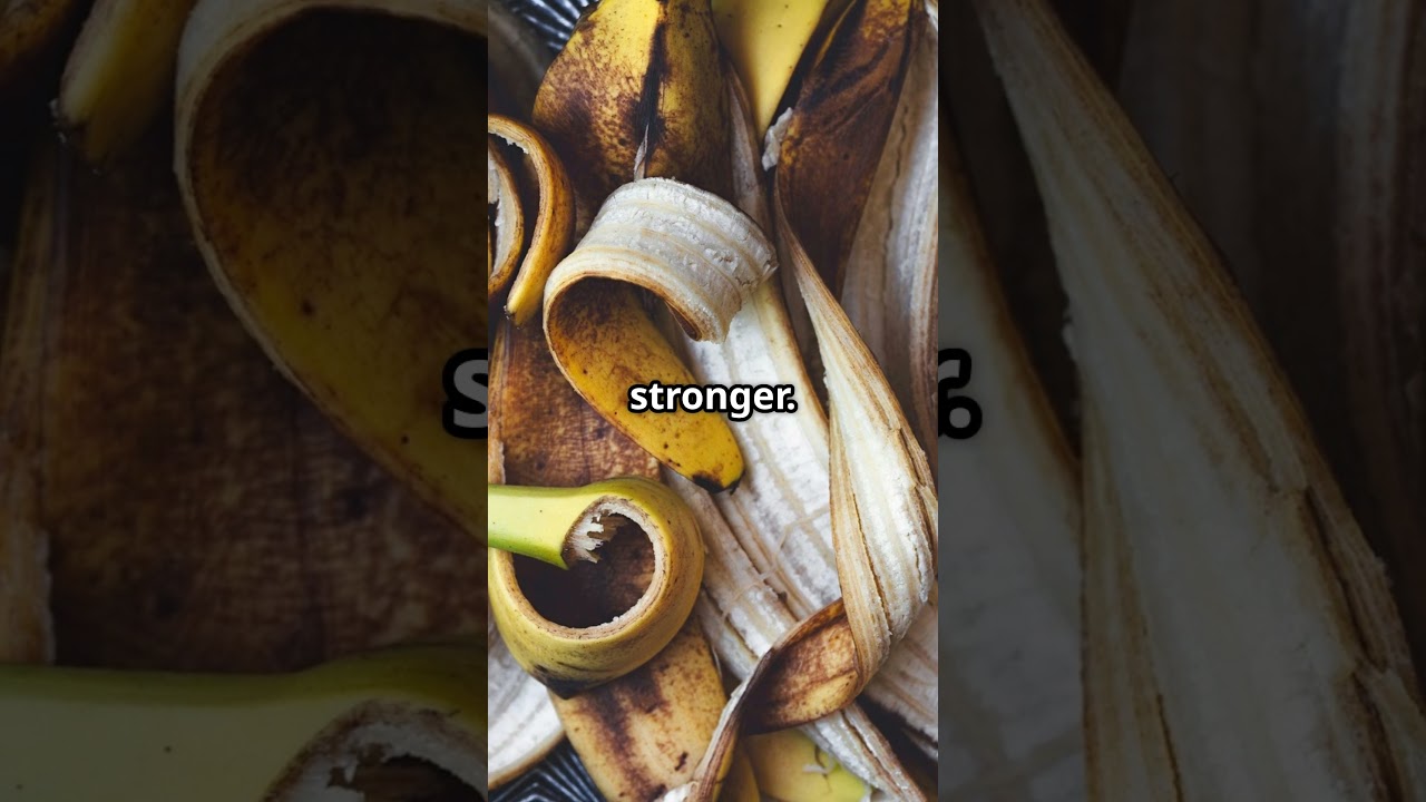 Мертвой почве не нужно больше удобрений 🌱