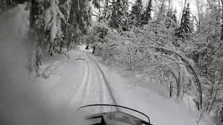 Катаемся по лесу на снегоходах. Сказочный 🌳 заснеженный лес. По болоту. По вырубке. По полям.