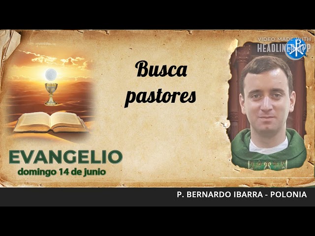 Evangelio de hoy, 14 de junio de 2026 | Busca pastores