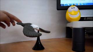 Balancing Eagle