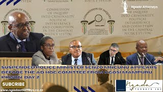 Full Minister of Police, who is on a leave of absence, Senzo Mchunu, appears before the inquiry: Day 2 News