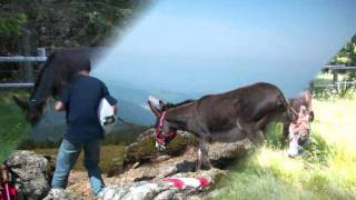 Download Lagu Bergwandeling St Andra Austria.wmv MP3