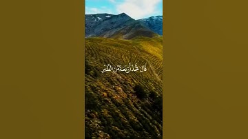تلاوة هادئة تريح القلب #fyp #قرآن #قران_كريم #الشعب_الصيني_ماله_حل #اكسبلور #quran #viral