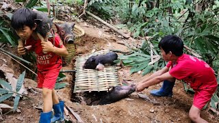 Dig a hole to trap the wild boars, Bac was trapped and had to sleep overnight in the deep forest.