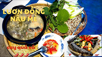 Lẩu Lươn Đồng Cơm Mẻ Ăn Cùng Hoa Chuối, Rau Muống Đồng, Bạc Hà Cực Ngon || Di TV