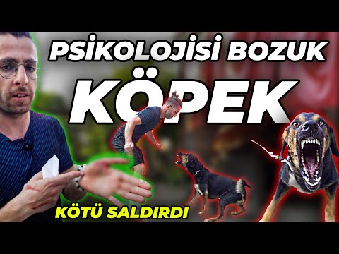 5 KİŞİYİ ISIRAN KÖPEK SONER'İ DE ISIRDI! (Çekimler Hastanede Devam Etti)