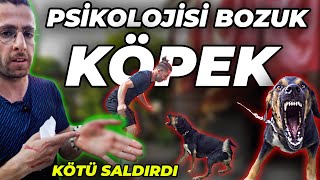 5 KİŞİYİ ISIRAN KÖPEK SONER'İ DE ISIRDI! (Çekimler Hastanede Devam Etti)