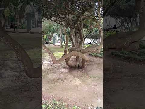 قال رسول الله صلى الله عليه وسلم صلوا على النبي يارب ترند 