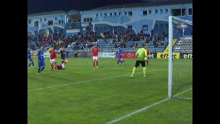 FK Vojvodina Novi Sad 3-0 FK Radnik Surdulica :: Resumos :: Videos