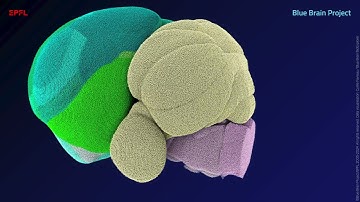 An extended and improved CCFv3 annotation and Nissl atlas of the entire mouse brain