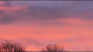 Lucki & Birth Of Rap (loop 3 times)