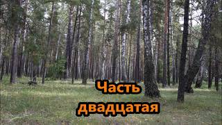 Продолжение моего рассказа о службе в Советской армии. ГСВГ  Часть двадцатая. Переправа через Эльбу.