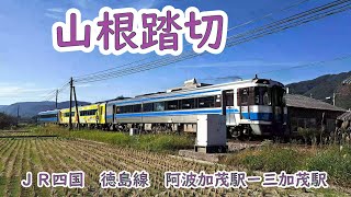 〔踏切〕山根踏切　（JR四国　徳島線　阿波加茂駅ー三加茂駅）