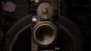 SvS