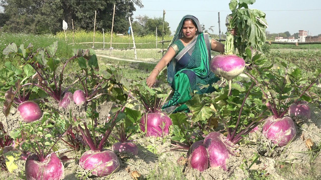 शलजम मटर आलू की चटपटी सब्ज़ी बनाओगे तो उंगुलिया चाट चाट कर खाओगे Shalgum ki Sabji