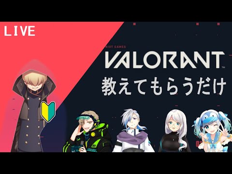 【VALORANT】ガチガチのFPSこわ。撃たないでください