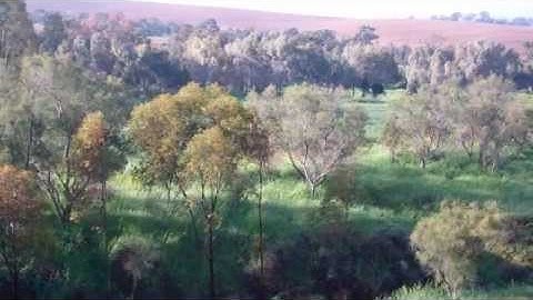 Magisto: Classic "Clean" Video Editing Style Example