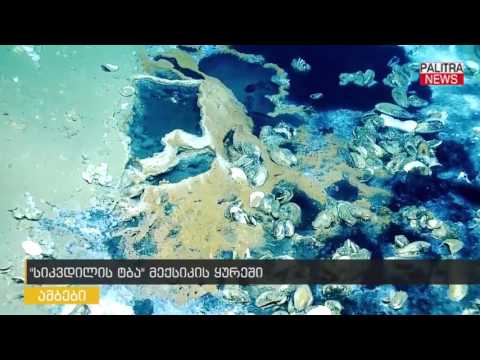 \u0026#039;სიკვდილის ტბა\u0026#039; მექსიკის ყურეში