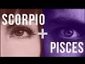 Scorpio & Pisces Sun: Love Compatibility