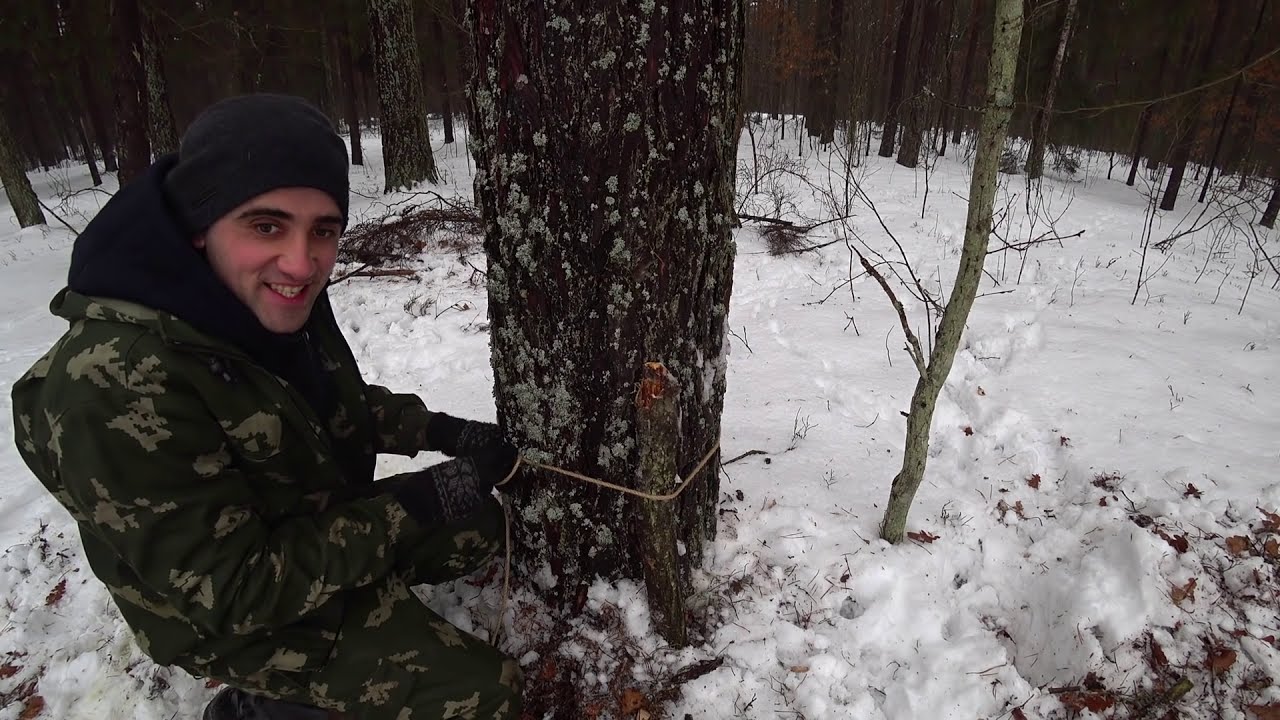 Строю шалаш на дереве, для охоты и выживание Жареные колбаски с плавленым сыром