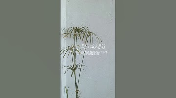 سورة هود #قرآن #اكسبلور #quran