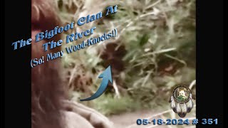 THE BIGFOOT CLAN AT THE RIVER. SO! MANY WOOD-KNOCKS! Please Read Below