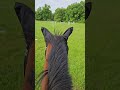 Guided Relaxation for Horseback Riders