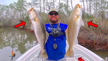 Dus je wilt forel vangen? Zo doe ik dat!