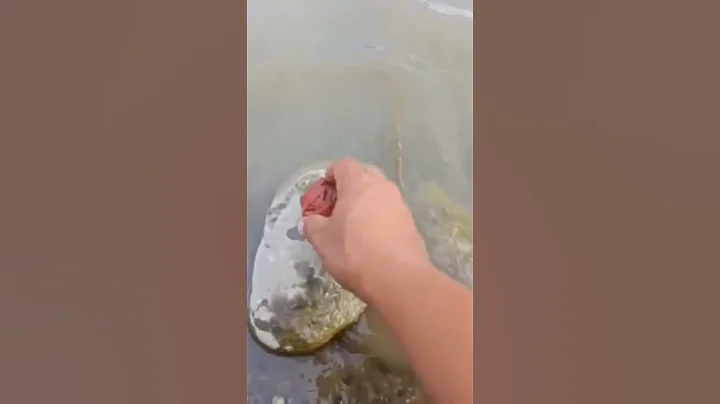 VERY UNIQUE RARE FOSSILS STONE, LOOKS LIKE NATIVE ...