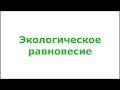 Урожай без ухода! Экологическое равновесие.