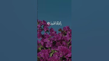 تلاوة مؤثرة من سورة يوسف | بصوت القارئ الشيخ عبدالعزيز سحيم  #quran