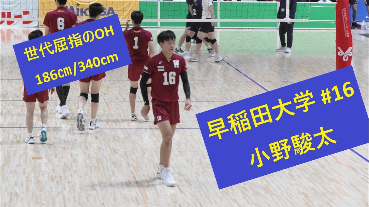 圧倒的エース #小野駿太 (聖隷クリストファー→早稲田) が魅せた全日本インカレ2025のスーパープレー集 #バレーボール #volleyball #japanvolleyball