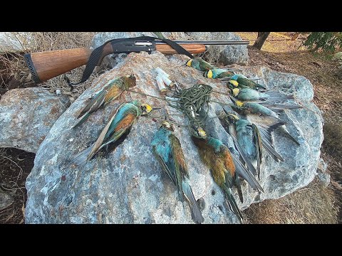 صيد الورور خرجة في جرود عكار لبنان