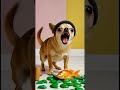 Chihuahua Smashes Green M&amp;M and Finds a GOLD FISH! 🐟 Minecraft Wish!