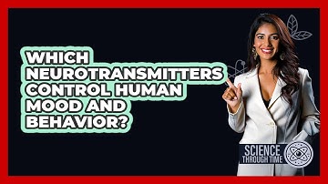 Which Neurotransmitters Control Human Mood And Behavior? - Science Through Time