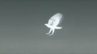 Scene from Darker than Black (2007)