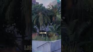 Download Lagu thank u ||shortsvideo||travelvlog MP3 Download Lagu thank u ||shortsvideo||travelvlog MP3