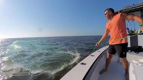 The EASY way to cast net baitfish - THE 50/50 THROW