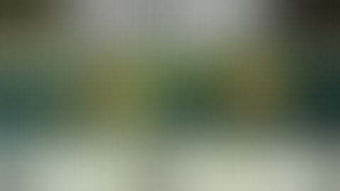 Modern Warfare 3: Vet & N00b Trash Talk