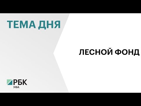 Площадь лесного фонда Башкортостана за пять лет сократилась на 15,3 тыс. га  — до 5,73 млн га
