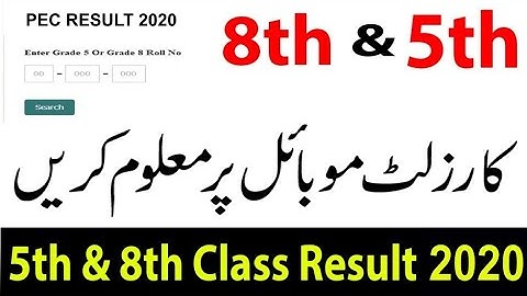 Check 8th And 5th Class Results 2020 Online/ EPC  8th Or 5th Result 2020 All Punjab Boards 😅😅