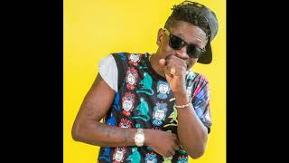 Shatta Wale - See Da Fool (Audio Slide)