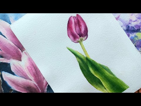 Тюльпан акварелью - сюжет для открытки на 8 марта. Watercolor painting tutorial - flowers.