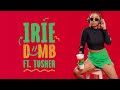 Dumb  irie ft tusher official audio