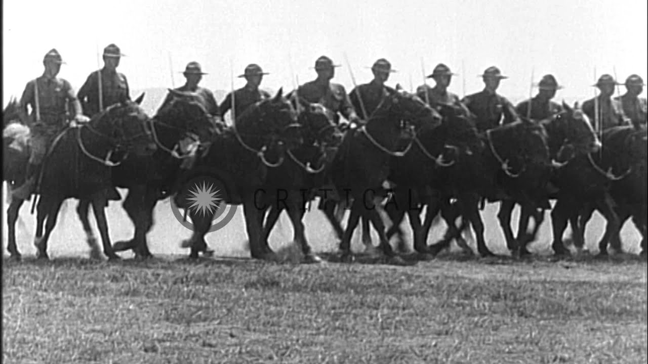 Parade, firing, swimming and daily exercises by soldiers at Citizens Military Tra...HD Stock Footage