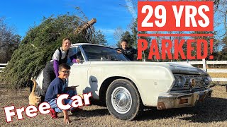 Can it haul a tree on its first drive in 29 years? Free 64 Plymouth Savoy!