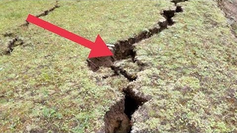 Они услышали крики из трещины в земле, а затем обнаружили невероятное.