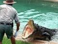 Суперхищники Крокодил !!! Животные с National Geographic