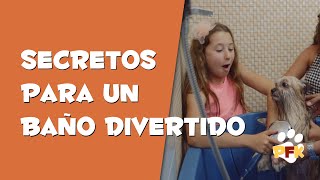 APRENDE A BAÑAR UN PERRO EN FAMILIA  - PETS FAMILY KIDS