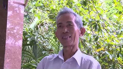 Ký ức miền quê kỳ 36 | Mùa khóm quê tôi